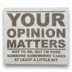 Opinion, Mening